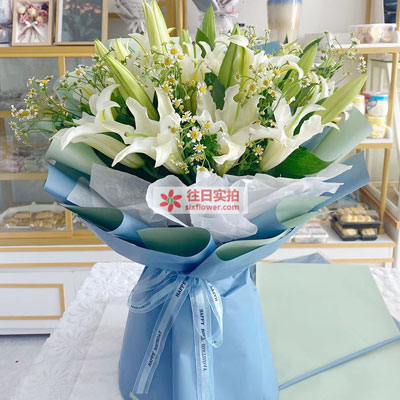 丹东8支白色多头百合洋甘菊，互倾的思念
