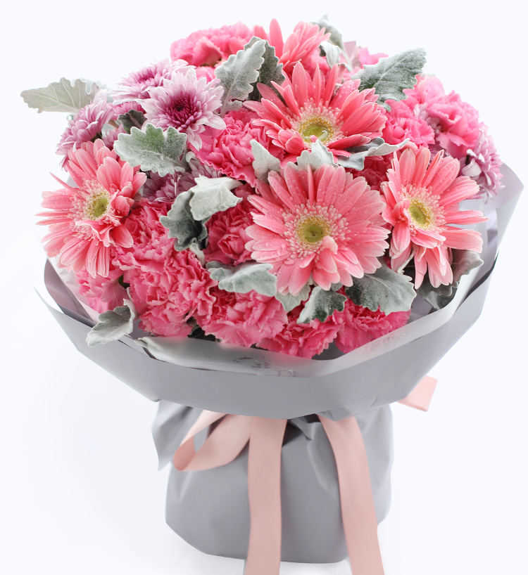 丹东好朋友(女性)生日送什么花好?代表友谊的花